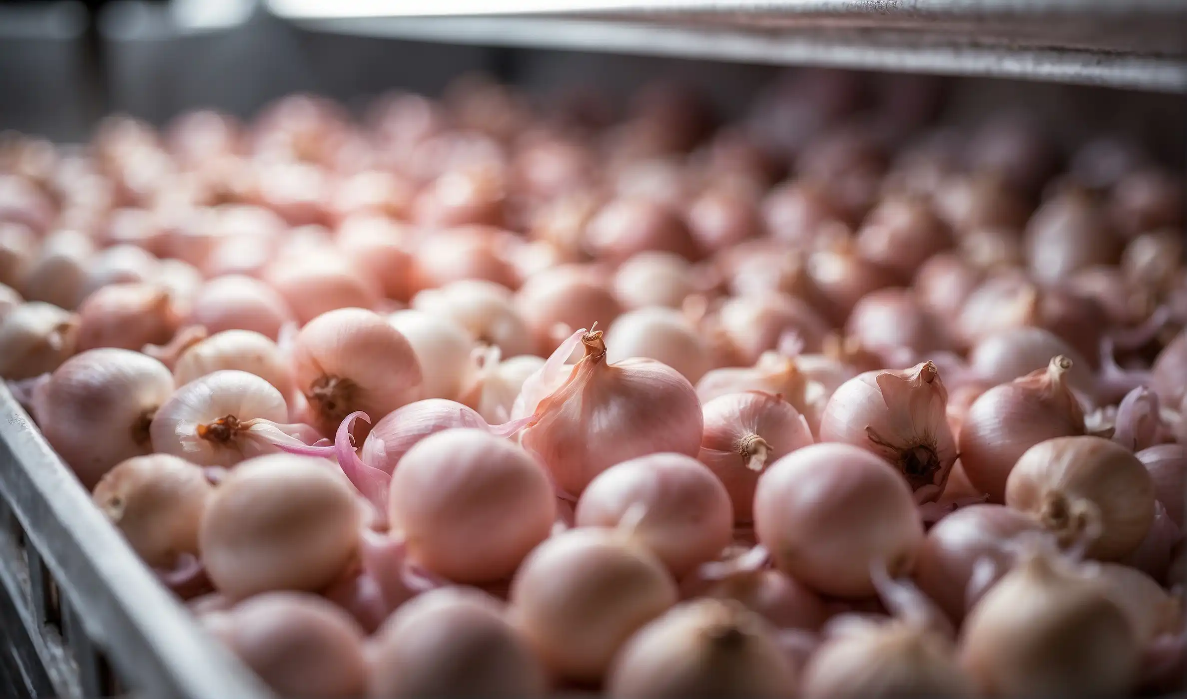 How to Freeze Shallots: Quick Preservation Guide