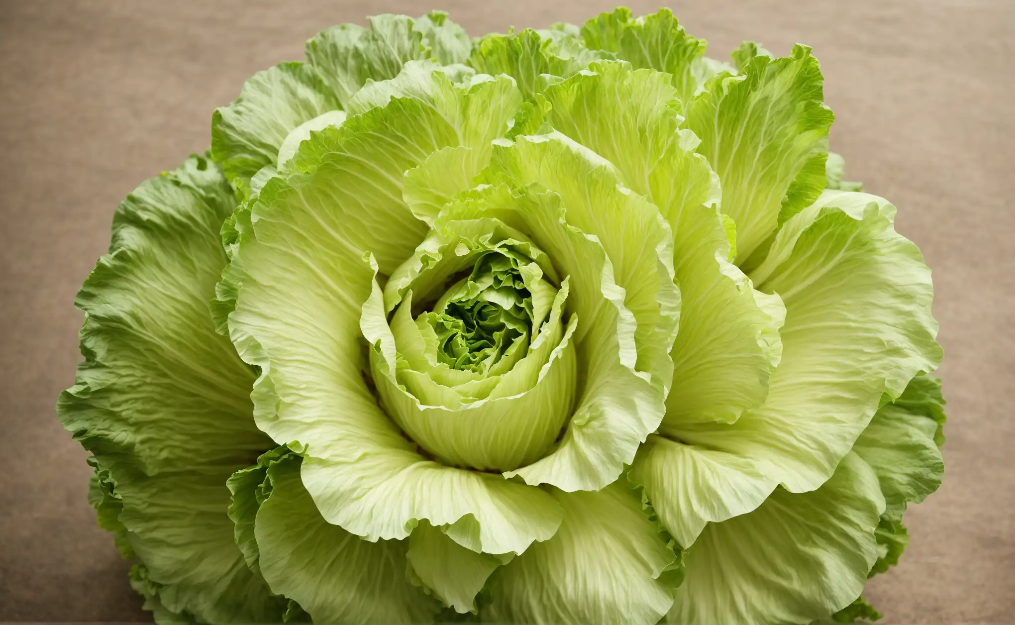 What Does Napa Cabbage Taste Like